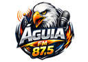 Logo da rádio Rádio Águia FM Logo da rádio Rádio Águia FM