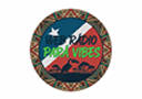 Logo da rádio Web Rádio Pará Vibes Logo da rádio Web Rádio Pará Vibes