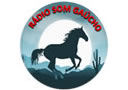 Logo da rádio Radio Som Gaucho