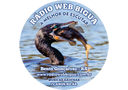 Logo da rádio Radio Web Bigua