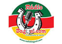 Logo da rádio Rádio Bagual